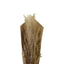 PAMPAS 40CM J.3