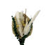 MIX FLORES SECAS CON EUCALIPTO