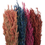 ESPIGAS COLORES 60CM 1307X2