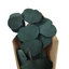 HOJAS SECAS 30GR 70CM 1977X2