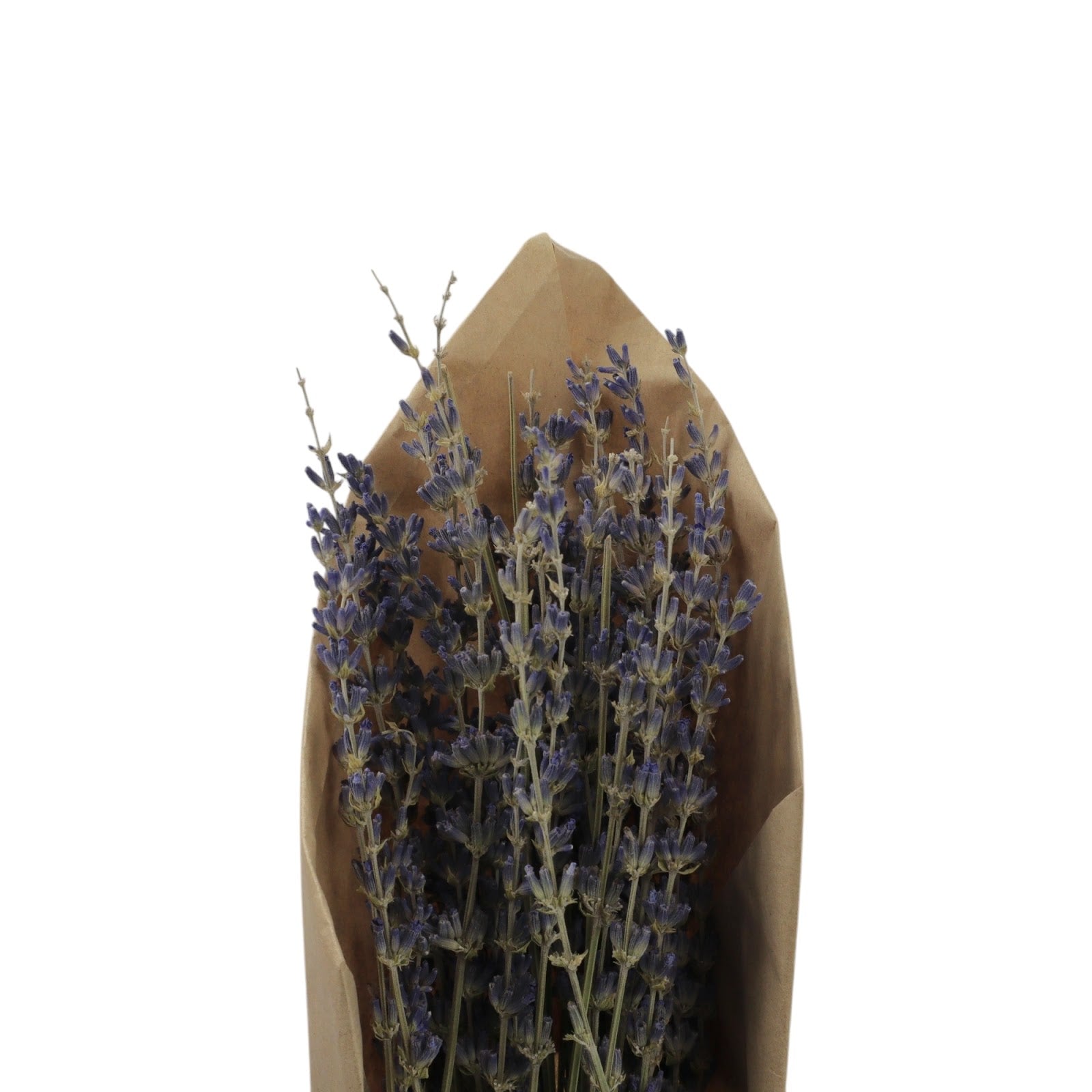 ESPIGAS LAVANDA 50GR 35CM GO-3603