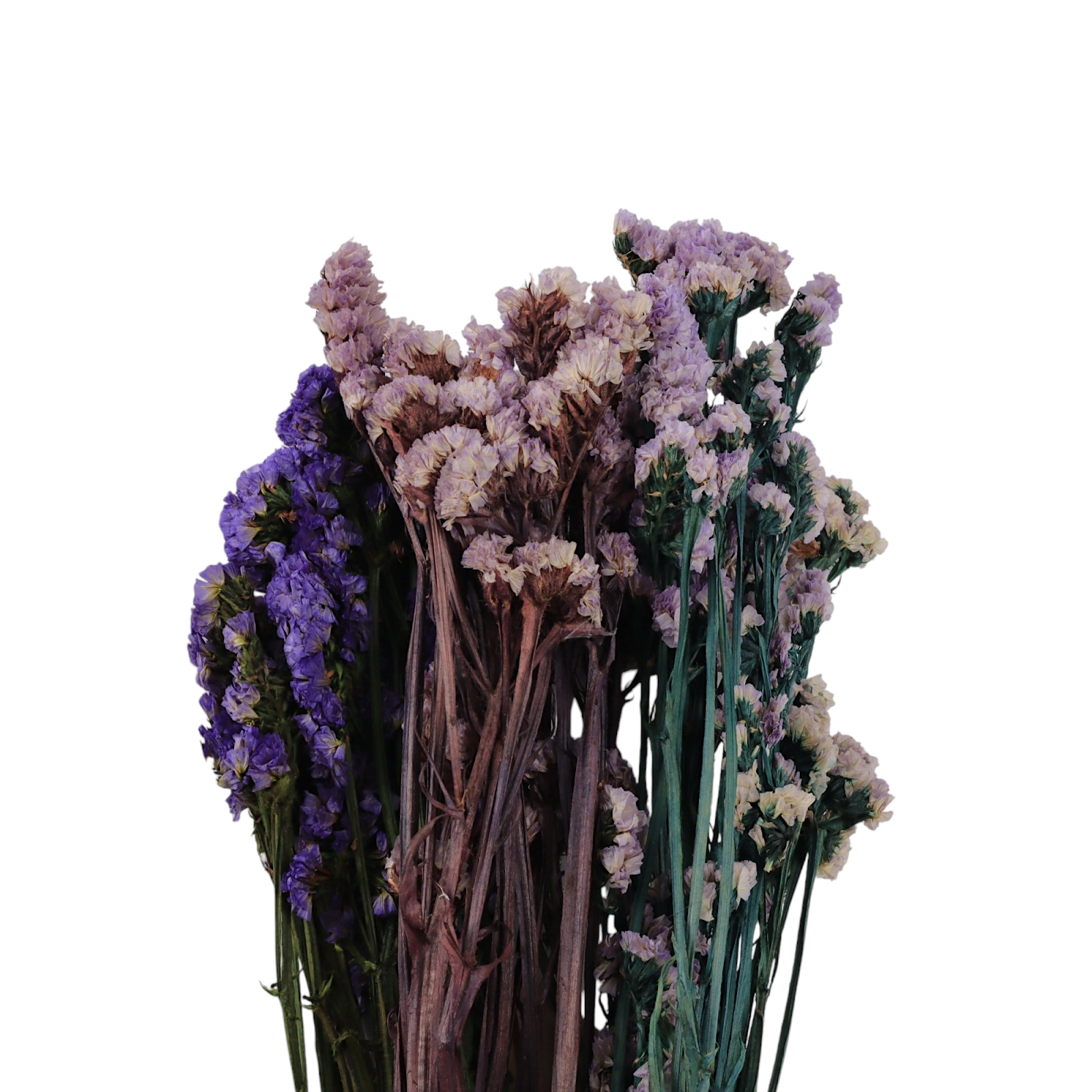 FLORES SECAS 50GR 60CM GO-5671