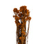 FLOR DE ARROZ 60CM 80GR