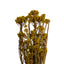 FLOR DE ARROZ 60CM 80GR