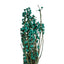 FLOR DE ARROZ 40CM 80GR