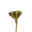 FLOR BANKSIA ESFERICA 40 CM