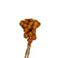 FLOR BANKSIA ESFERICA 40 CM