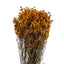 HIERBAS COLORES VARIADOS 120GR