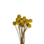 POMPON AMARILLO SET 20