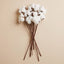 FLOR DE ALGODON 85GR 35CM J.10