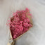 FLOR BRISA DE AMOR