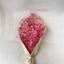 FLOR BRISA DE AMOR