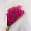 FLOR BRISA DE AMOR