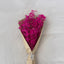 FLOR BRISA DE AMOR