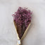FLOR POP