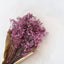 FLOR POP