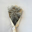 FLOR POP