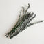 EUCALIPTO SPIRAL 120 GR 60CM