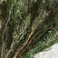 FLOR BRISA 100GR 60 CM