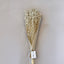 FLOR ACACIA 2921
