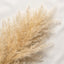FLOR PAMPA GRANDE 50GR 110CM