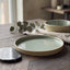 PLATO FONDO AQUA TERRA 290 ML 24X2.5 CM