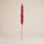 FLOR BROTES ROJOS 1 MT