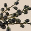 RAMA FRUTOS SILVESTRES
