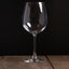 COPA VINO 450ML 7X22.5CM