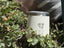 VASO TERMICO 320ML BLANCO